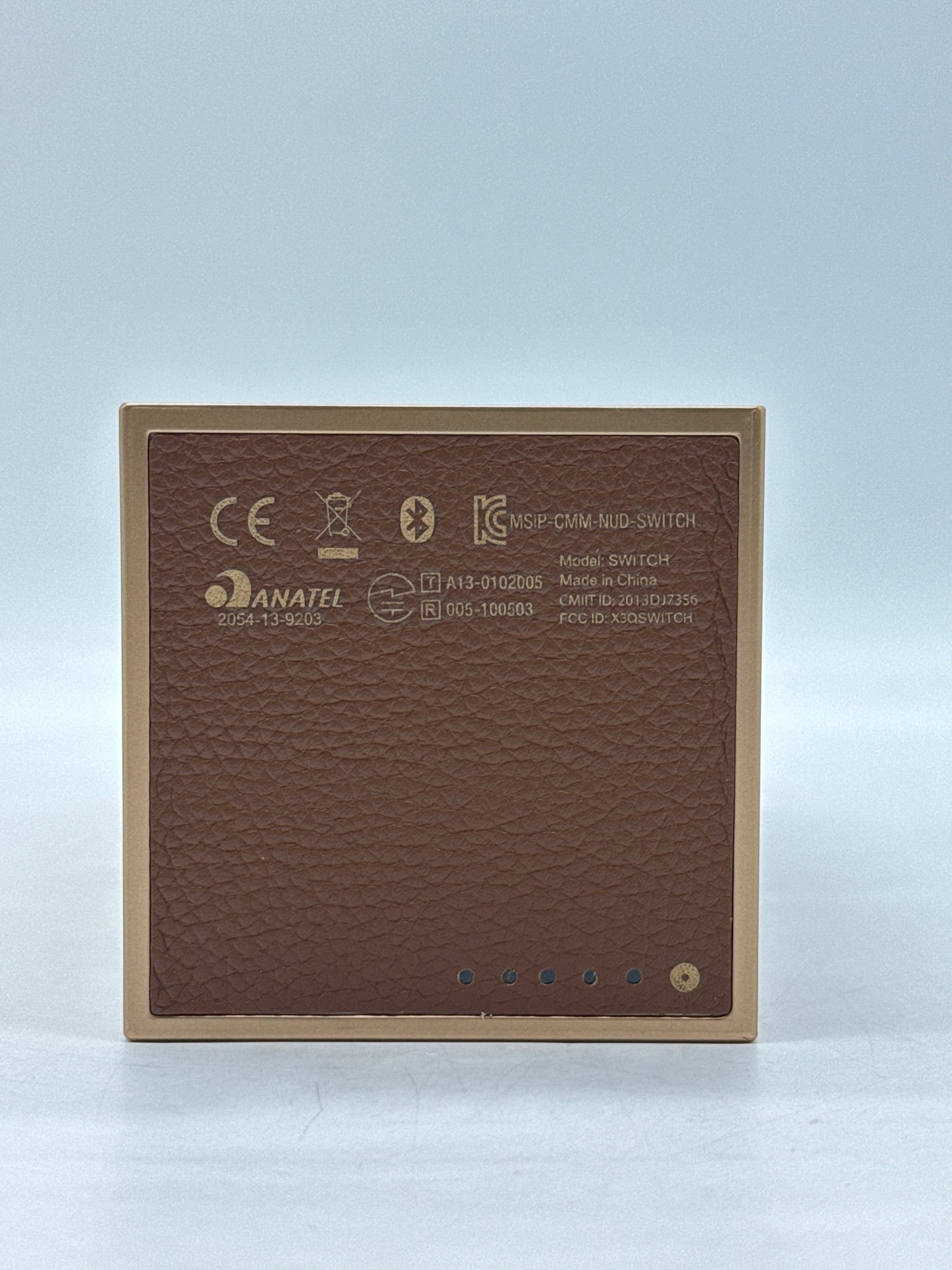 Native Union SWITCH Bluetooth Speaker Rose Gold SWITCH-GLD-ROSE-MT