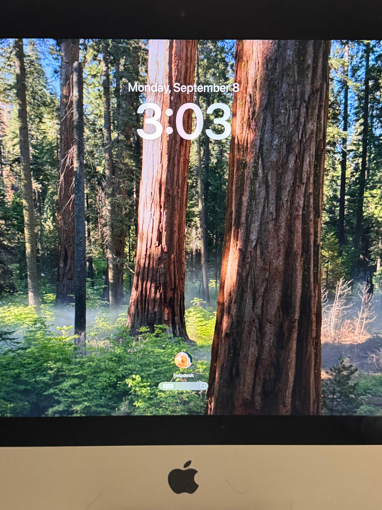 2019 Apple iMac Retina 4K 21.5" A2116 Core i3 1TB HDD 8GB RAM - Remotely Managed