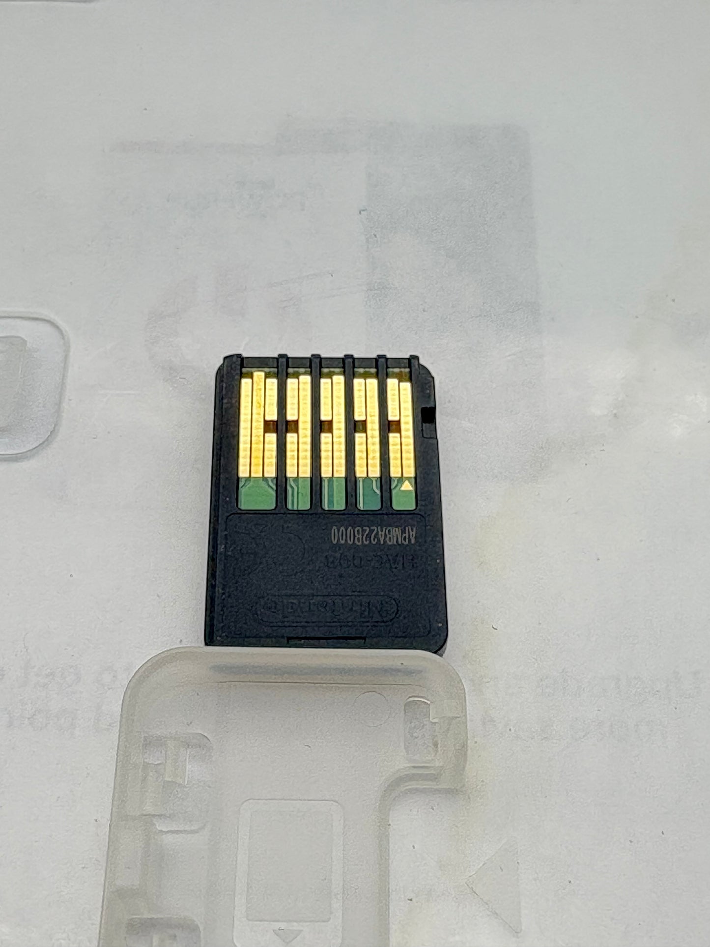 All-Star Fruit Racing – Nintendo Switch