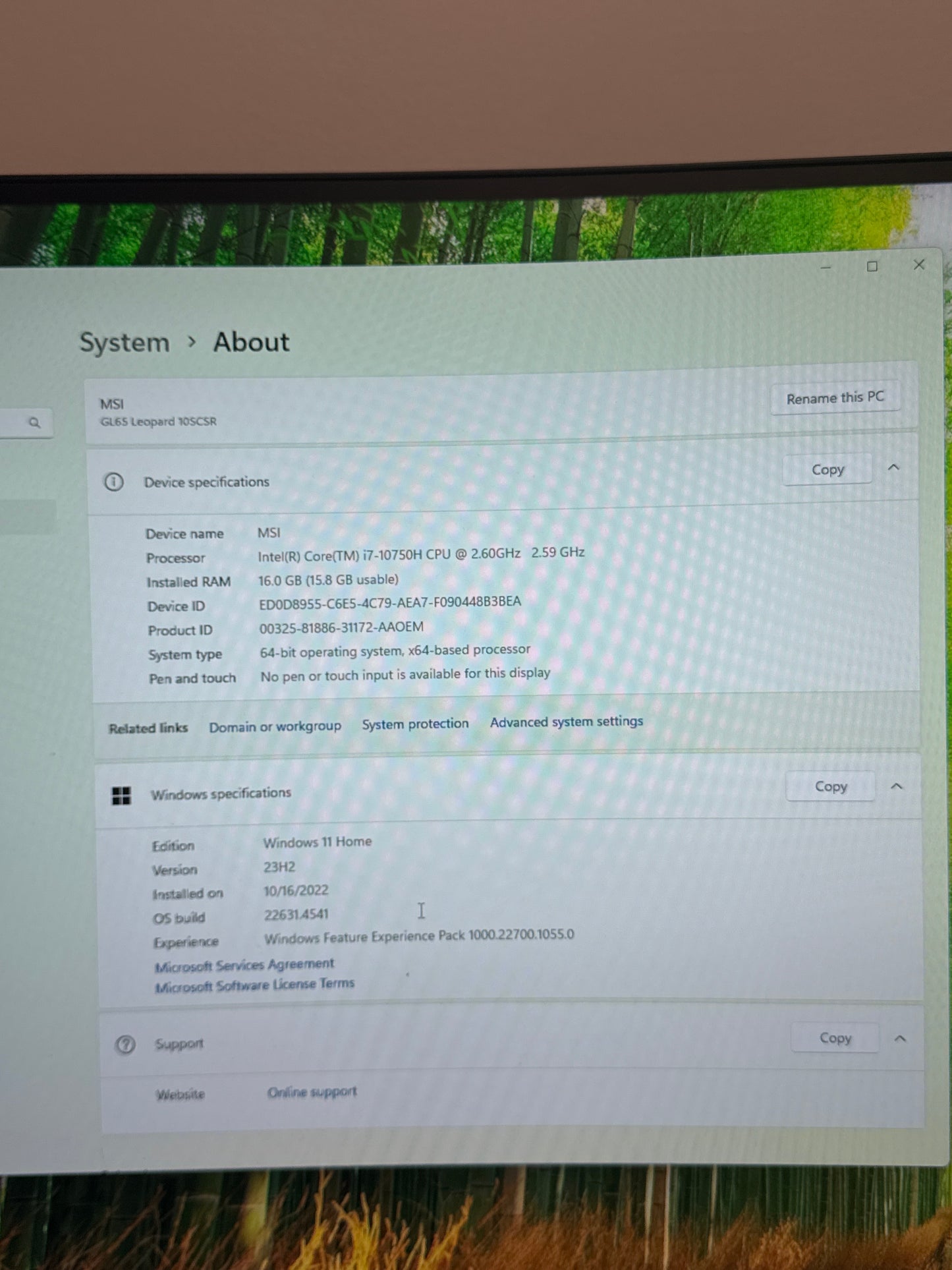 MSI GL65 Leopard 15.6" i7-10750H 16GB RAM 512GB SSD GTX 1650Ti 4GB - Bad Display
