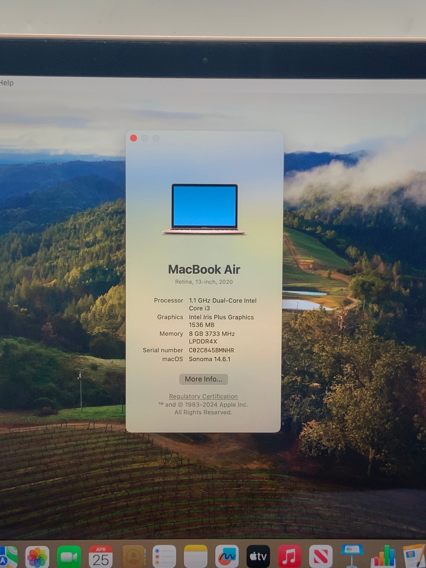 2020  Apple MacBook Air 13" Core i3 8GB RAM 256GB SSD Rose Gold A2179