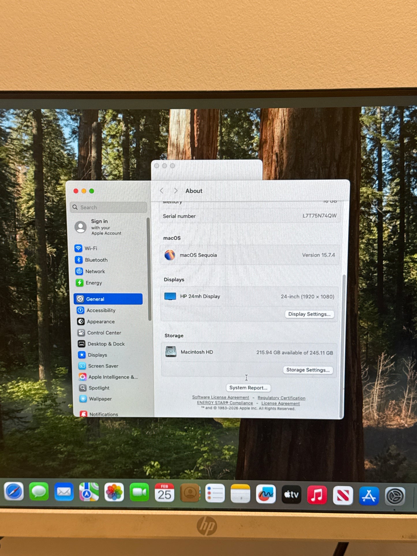 2024 Apple Mac Mini A3238 M4 10C-CPU 10C-GPU 256GB SSD 16GB RAM