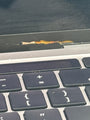 Apple MacBook Pro 13" A2289 2020 i5 8GB 256GB SSD Broken For Parts - image 4
